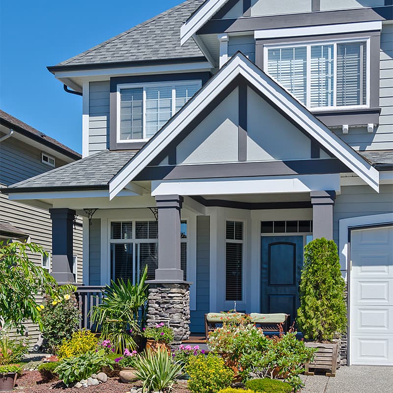 Project by Wild Fox Painting