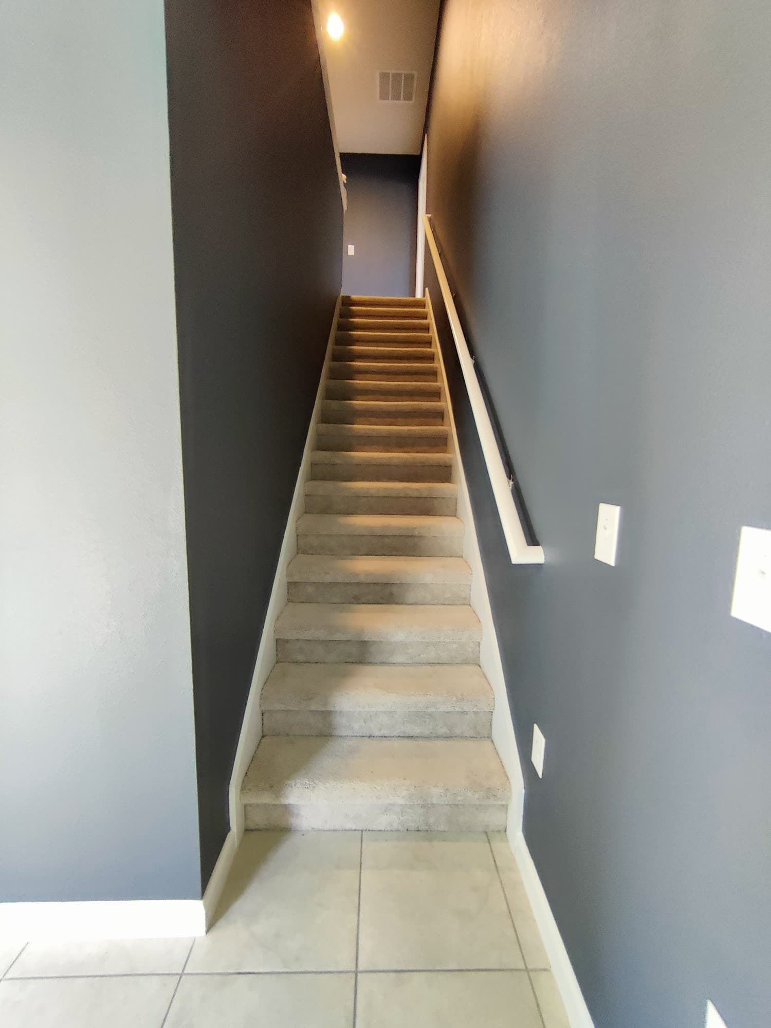 Project by MN Painting Services